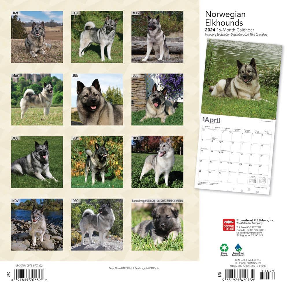 Norwegian Elkhounds 2024 Wall Calendar
