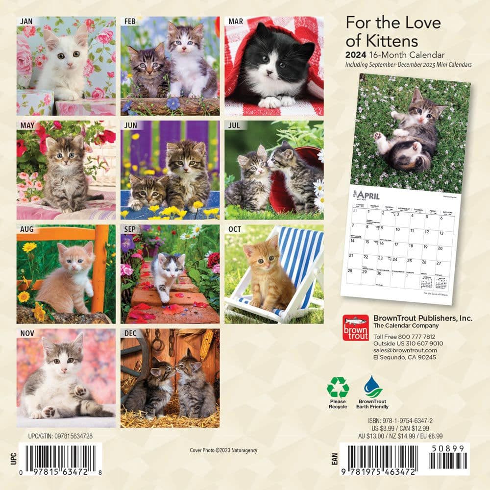 For the Love of Kittens 2024 Mini Wall Calendar First Alternate Image width=&quot;1000&quot; height=&quot;1000&quot;
