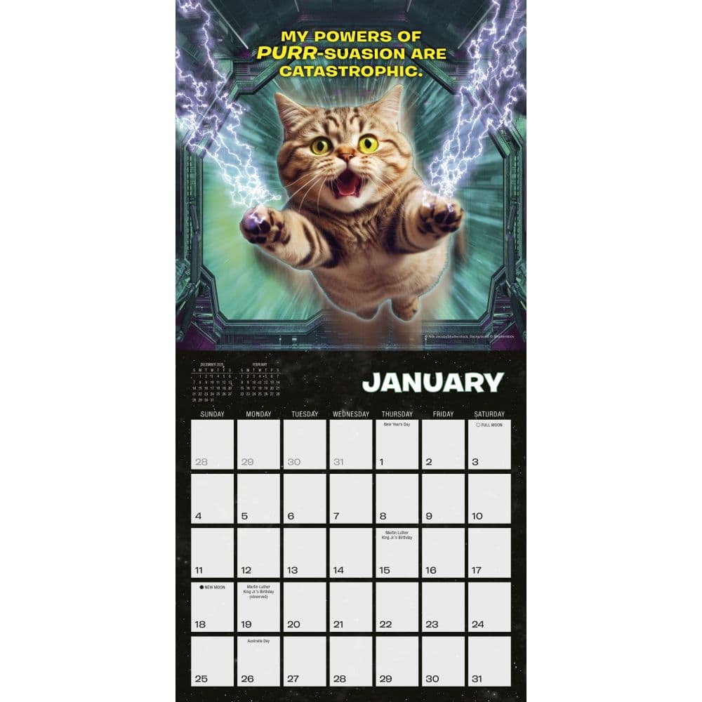 Cat Wars 2026 Mini Wall Calendar 2026 Wall Calendar, 12'' X 12'', 12-Month Calendar with Stapled Binding