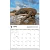 image Apex Predators WWF 2025 Wall Calendar Second Alternate Image width="1000" height="1000"