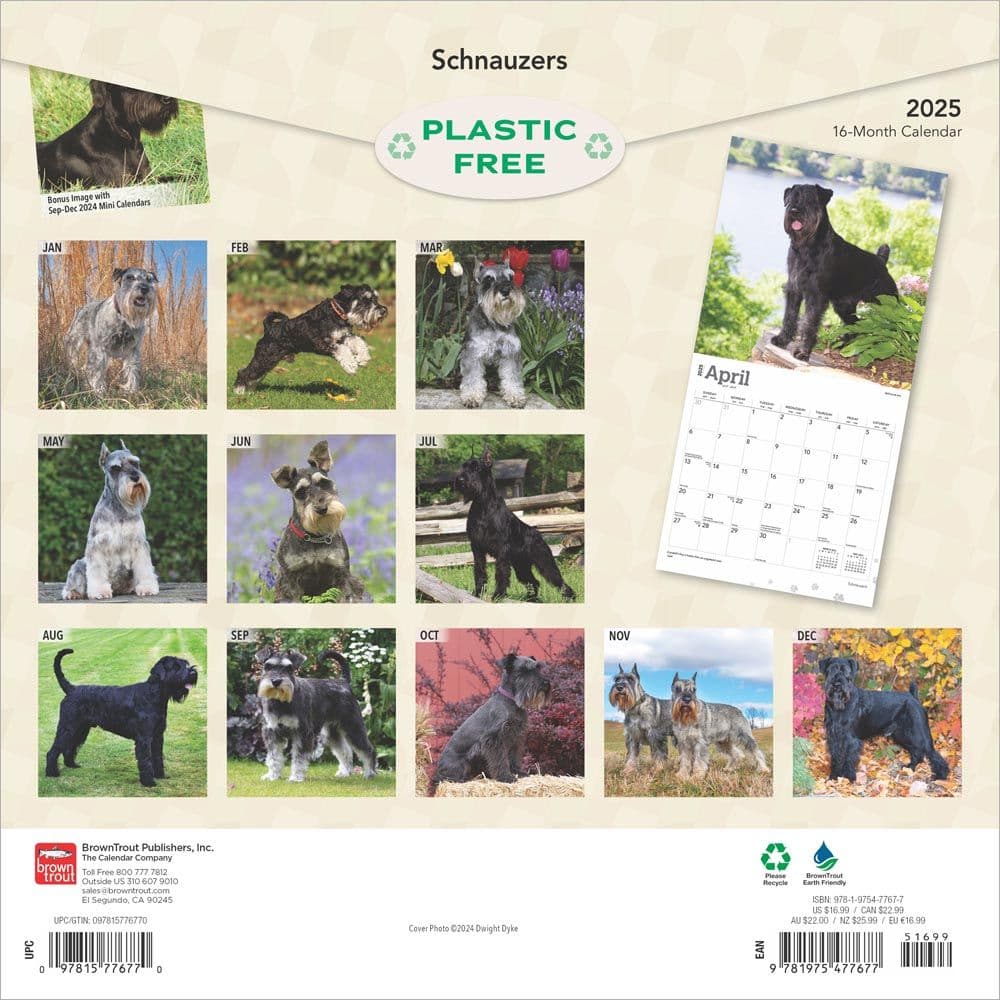 Schnauzers 2025 Wall Calendar First Alternate Image