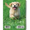 image What Goldens Teach Us 2025 Engagement Planner Alt1