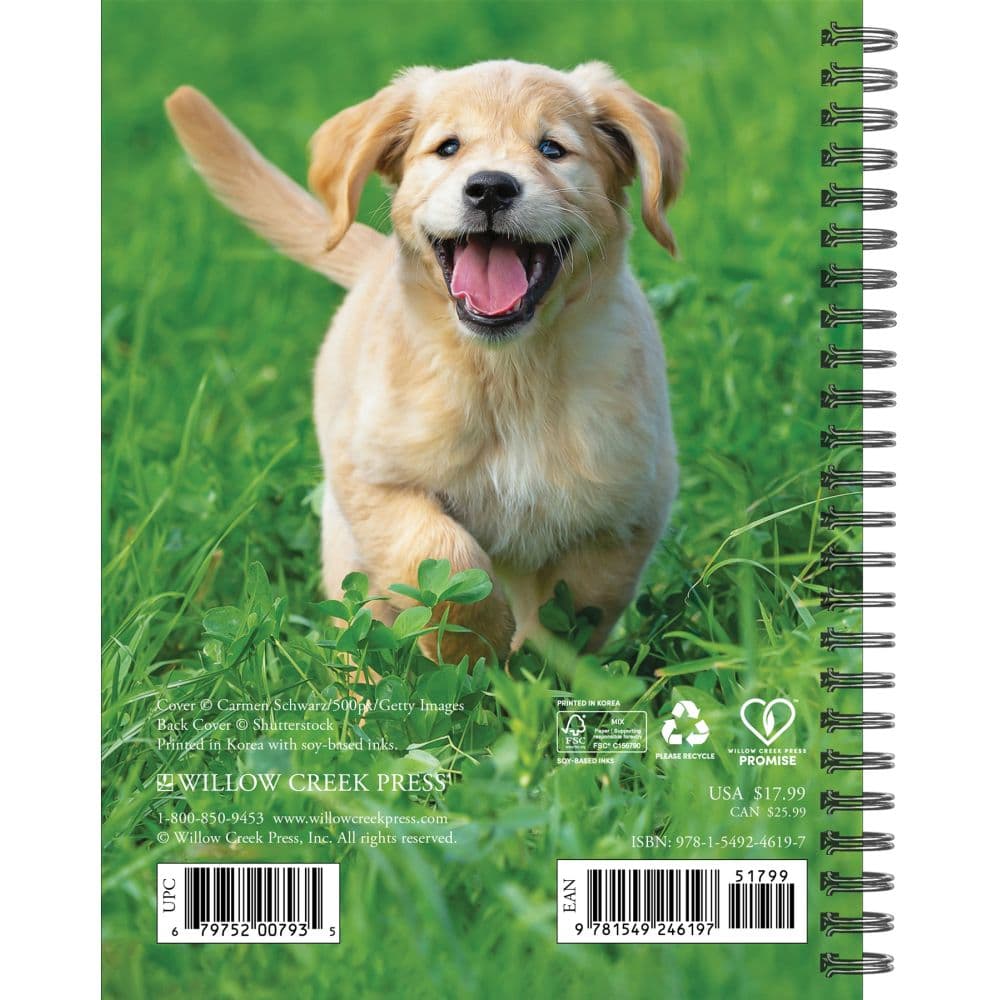 What Goldens Teach Us 2025 Engagement Planner Alt1