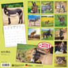 image Donkeys 2024 Wall Calendar First Alternate Image width=&quot;1000&quot; height=&quot;1000&quot;