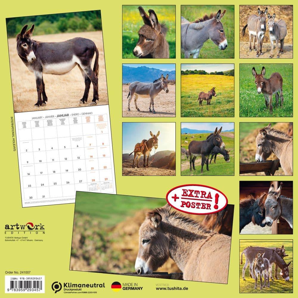 Donkeys 2024 Wall Calendar First Alternate Image width=&quot;1000&quot; height=&quot;1000&quot;