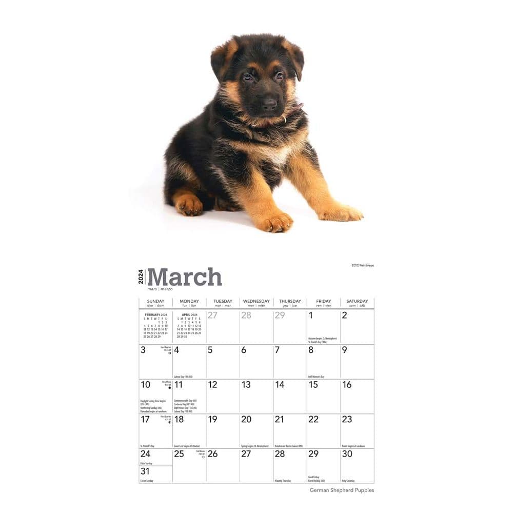 German Shepherd Puppies 2024 Mini Wall Calendar Alternate Image 2