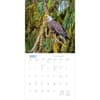 image Audubon Nature 2025 Wall Calendar Second Alternate Image width="1000" height="1000"