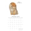 image Adorable Dogs 2024 Wall Calendar Second Alternate Image width=&quot;1000&quot; height=&quot;1000&quot;