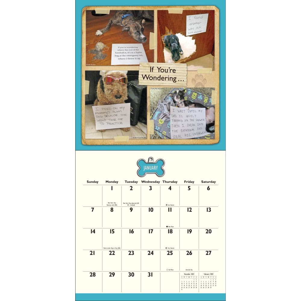 Dog Shaming 2024 Wall Calendar