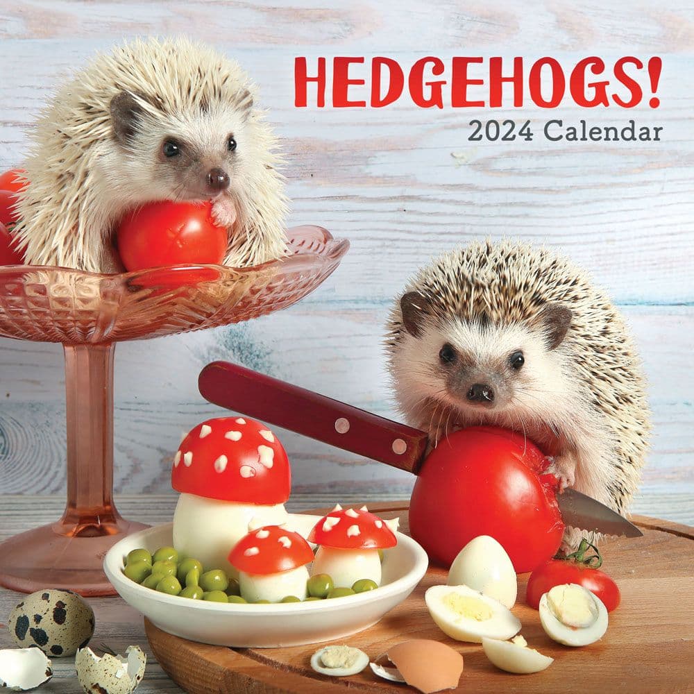 Hedgehogs! 2024 Wall Calendar