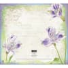 image Butterflies 2027 Wall Calendar by Jane Shasky Fourth Alternate Image