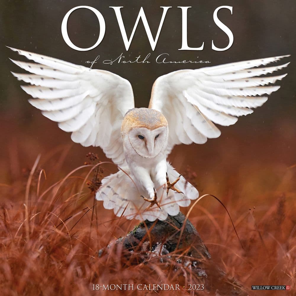 Willow Creek Press Owls 2023 Wall Calendar