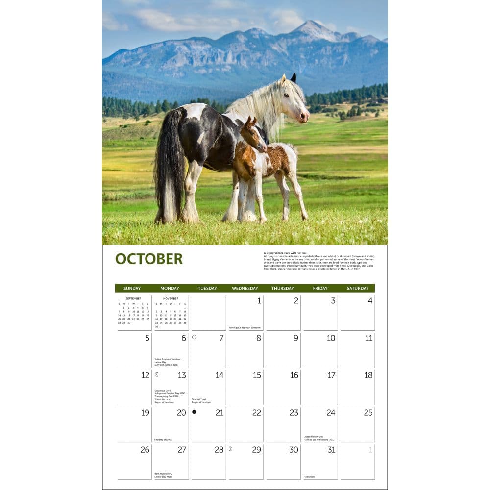 Horses Deluxe 2025 Wall Calendar Second Alternate Image width=&quot;1000&quot; height=&quot;1000&quot;