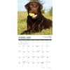 image Lab Rules 2025 Wall Calendar Second Alternate Image width="1000" height="1000"