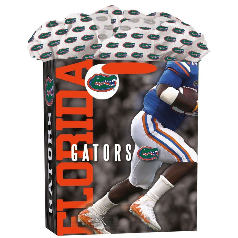 Florida Gators Large Gogo Gift Bag