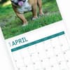 image Bulldogs 2025 Wall Calendar Sixth Alternate Image