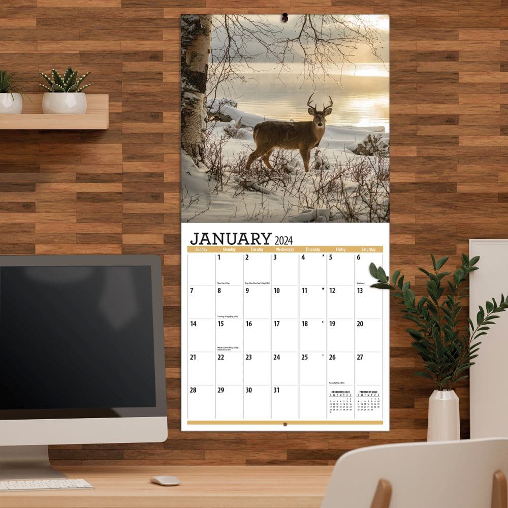 White Tailed Deer 2024 Wall Calendar lifestyle view