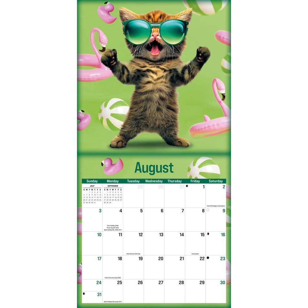 Furry Fun Moreno 2025 Wall Calendar Third Alternate Image width=&quot;1000&quot; height=&quot;1000&quot;