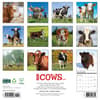 image Just Cows 2026 Wall Calendar First Alternate Image