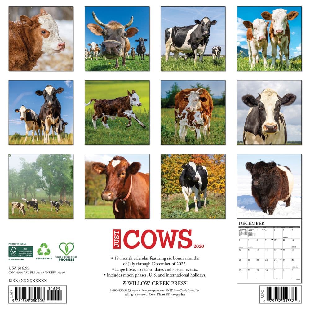 Just Cows 2026 Wall Calendar First Alternate Image