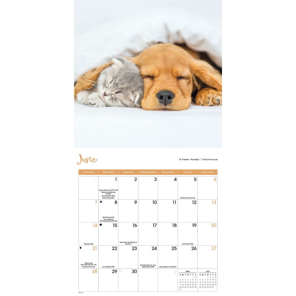 Kittens and Puppies 2026 Mini Wall Calendar Third Alternate Image