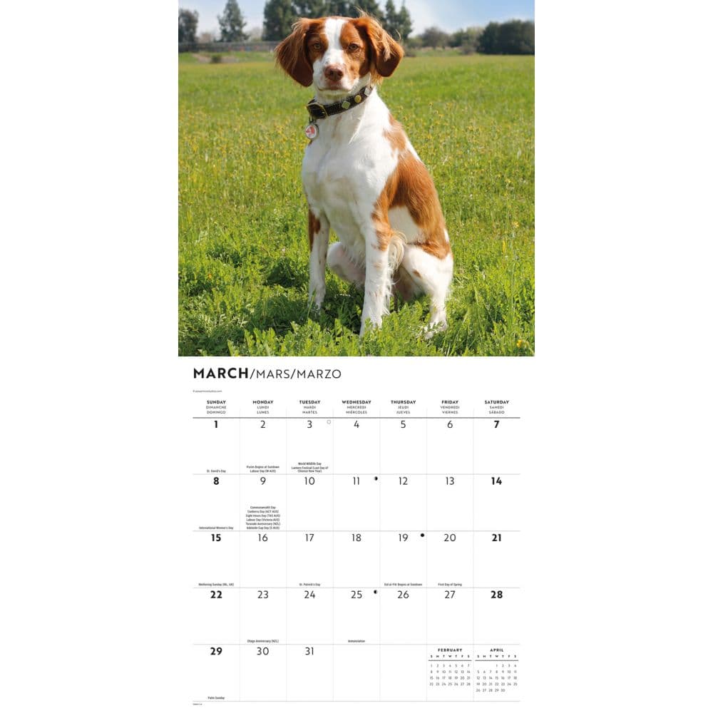 Brittanys 2026 Wall Calendar Second Alternate Image