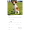 image Brittanys 2026 Wall Calendar Second Alternate Image