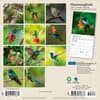 image Hummingbirds Plato 2027 Mini Wall Calendar First Alternate Image