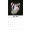 image Ferrets 2027 Wall Calendar Second Alternate Image