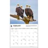 image Eagles WWF 2025 Wall Calendar Second Alternate Image width="1000" height="1000"