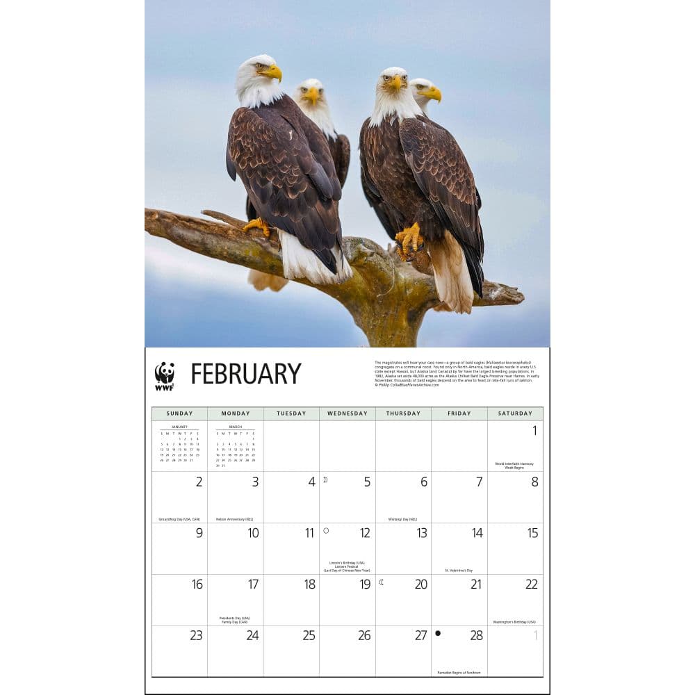 Eagles WWF 2025 Wall Calendar Second Alternate Image width="1000" height="1000"