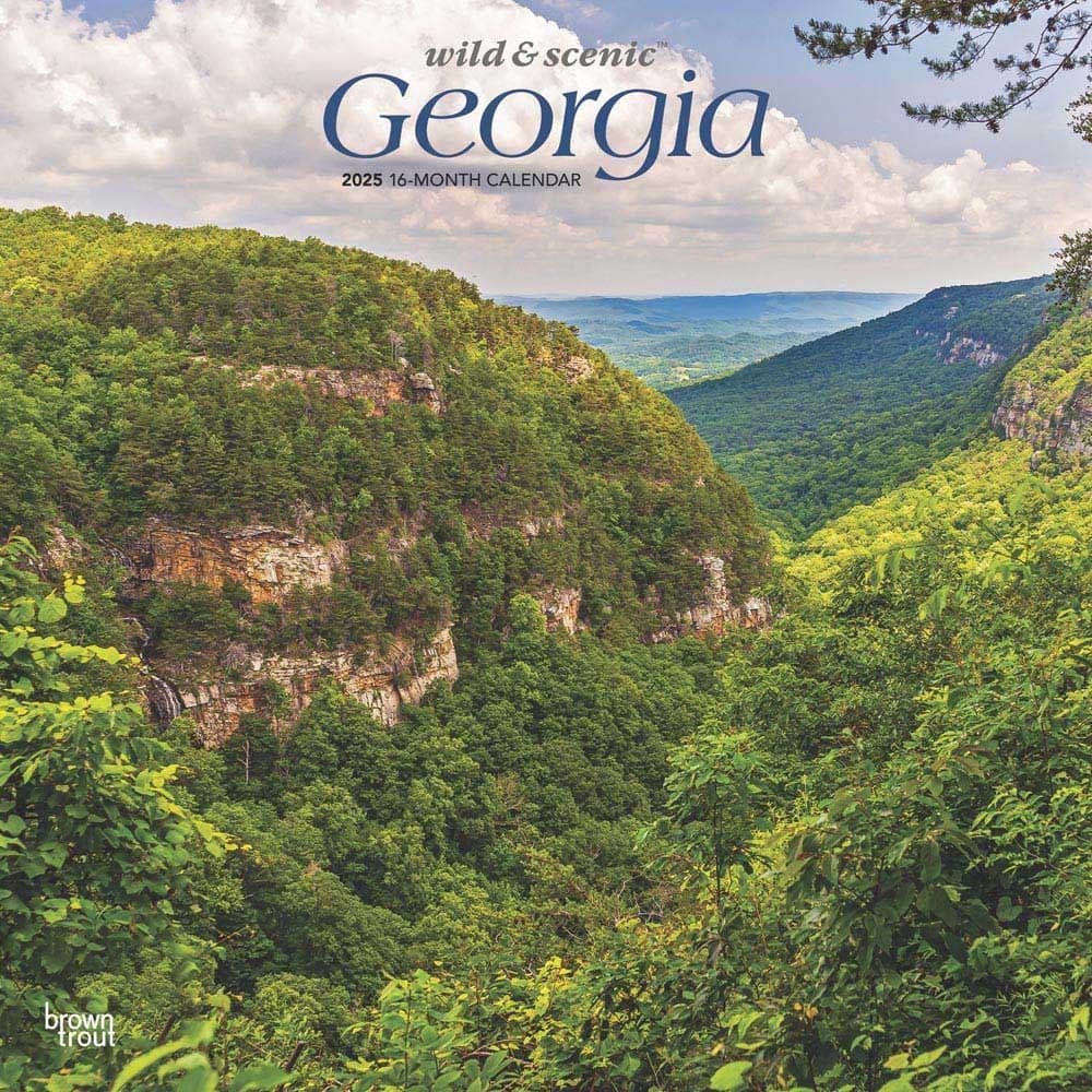 image Georgia Wild and Scenic 2025 Wall Calendar Main Image