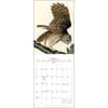 image Audubon Birds of America 2025 Wall Calendar Third Alternate Image width="1000" height="1000"