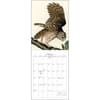 image Audubon Birds of America 2025 Wall Calendar Third Alternate Image width=&quot;1000&quot; height=&quot;1000&quot;