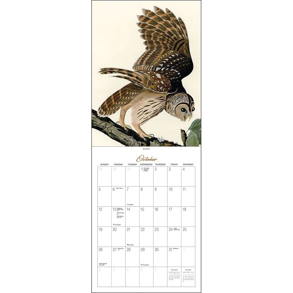 Audubon Birds of America 2025 Wall Calendar Third Alternate Image width="1000" height="1000"