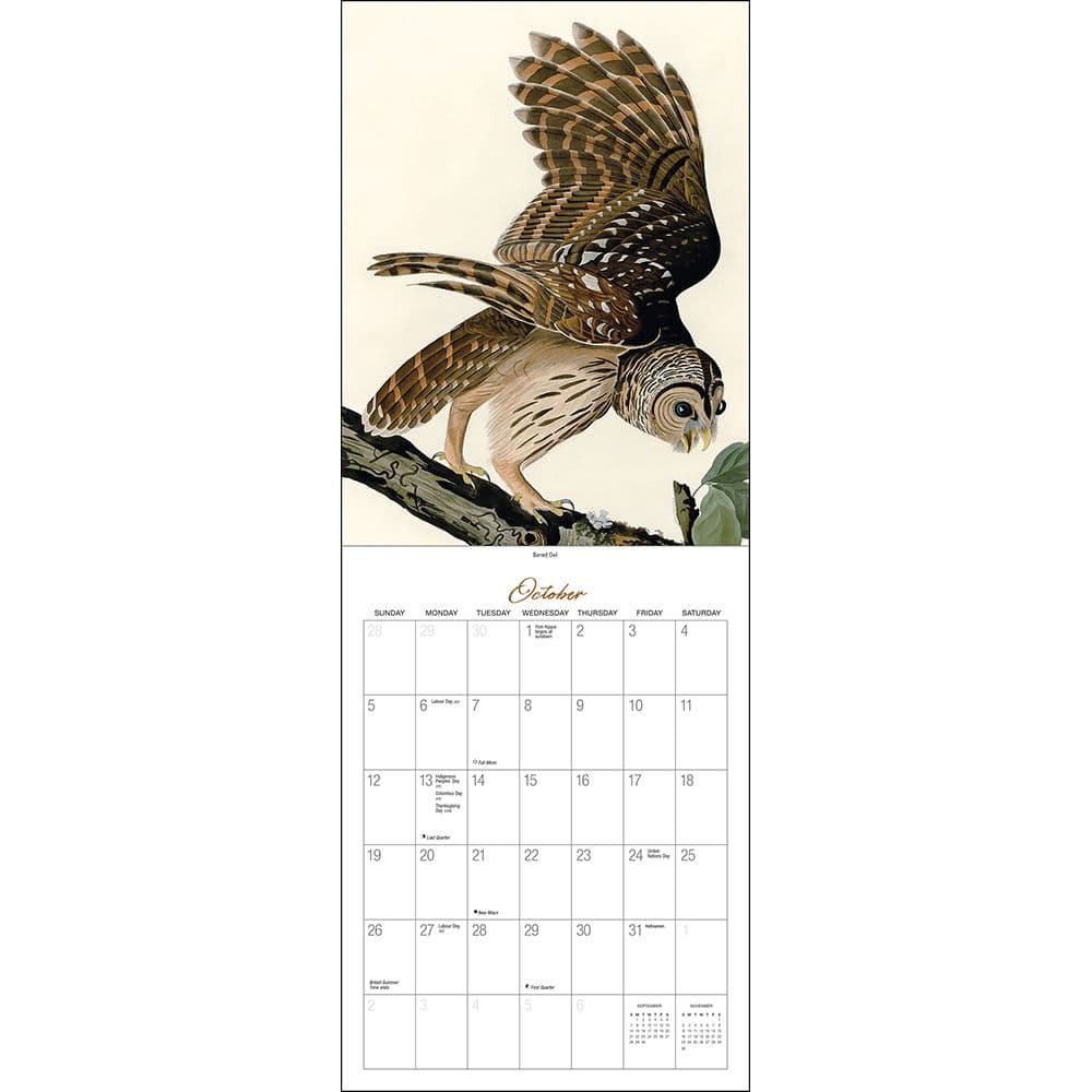 Audubon Birds of America 2025 Wall Calendar Third Alternate Image width=&quot;1000&quot; height=&quot;1000&quot;