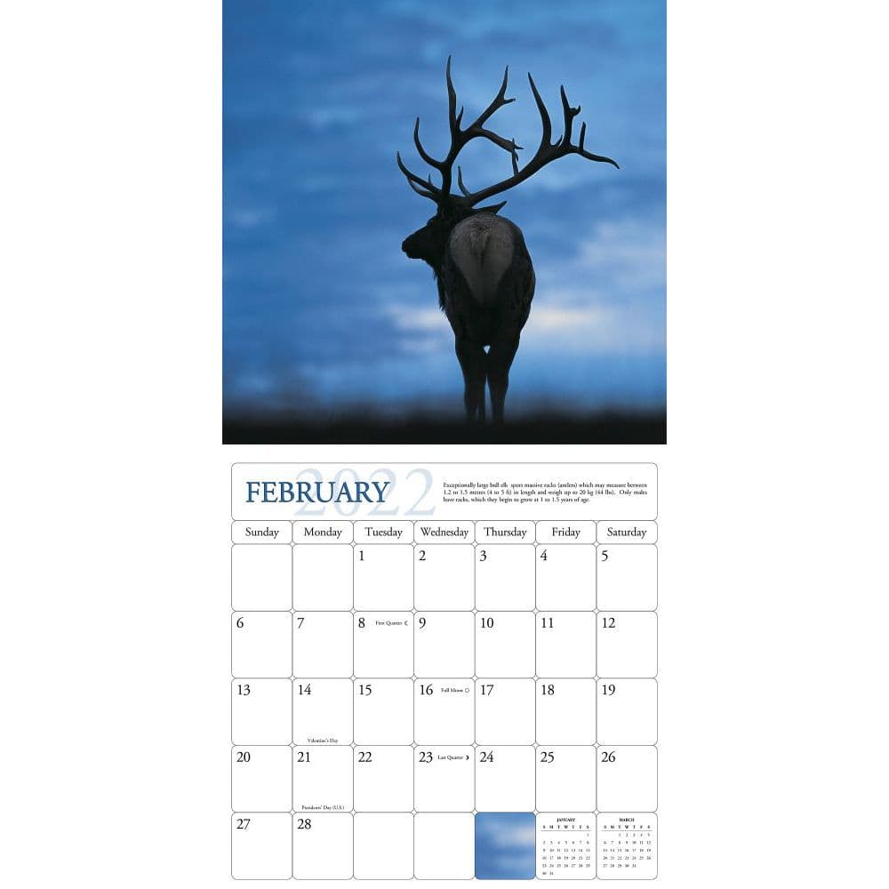 Majestic Elk 2022 Wall Calendar - Calendars.com