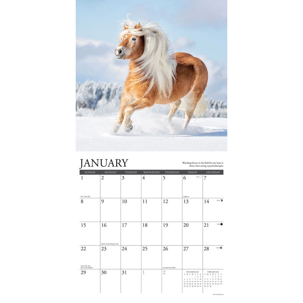 Horse Happiness Is 2023 Wall Calendar - Calendars.com