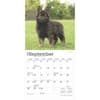 image German Shepherd Puppies 2025 Mini Wall Calendar Third Alternate Image width=&quot;1000&quot; height=&quot;1000&quot;