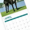 image Great Danes 2025 Wall Calendar Sixth Alternate Image