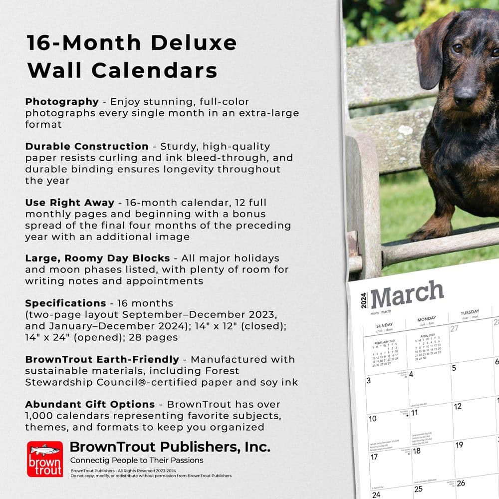 Dachshunds Deluxe 2024 Wall Calendar Fourth Alternate Image width=&quot;1000&quot; height=&quot;1000&quot;