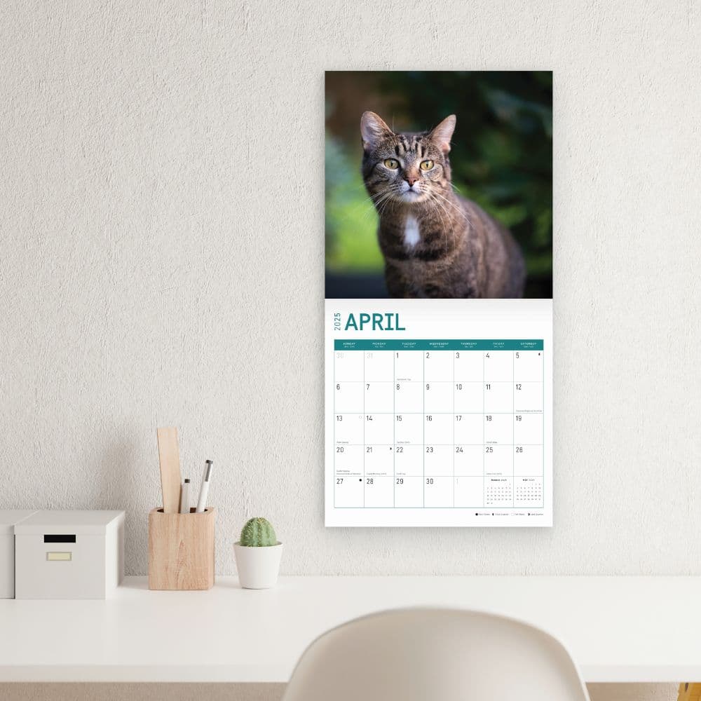 Cats 2025 Wall Calendar Third Alternate Image width="1000" height="1000"