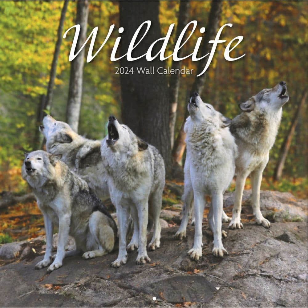 Wildlife 2024 Wall Calendar by Turner Licensing