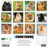 image Chow Chows 2025 Wall Calendar First Alternate Image width=&quot;1000&quot; height=&quot;1000&quot;