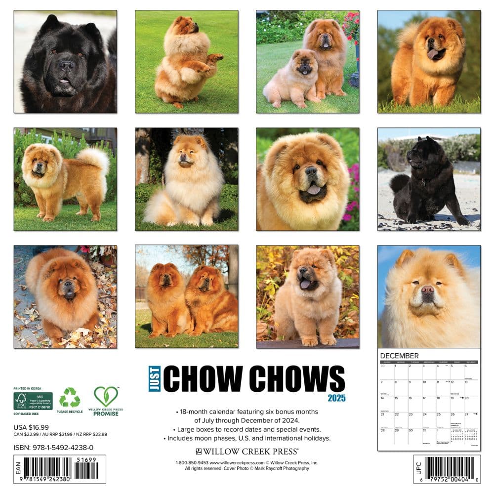 Chow Chows 2025 Wall Calendar First Alternate Image width=&quot;1000&quot; height=&quot;1000&quot;