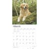 image Golden Retrievers 2025 Wall Calendar