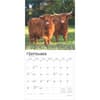 image Highland Cows 2025 Wall Calendar Third Alternate Image