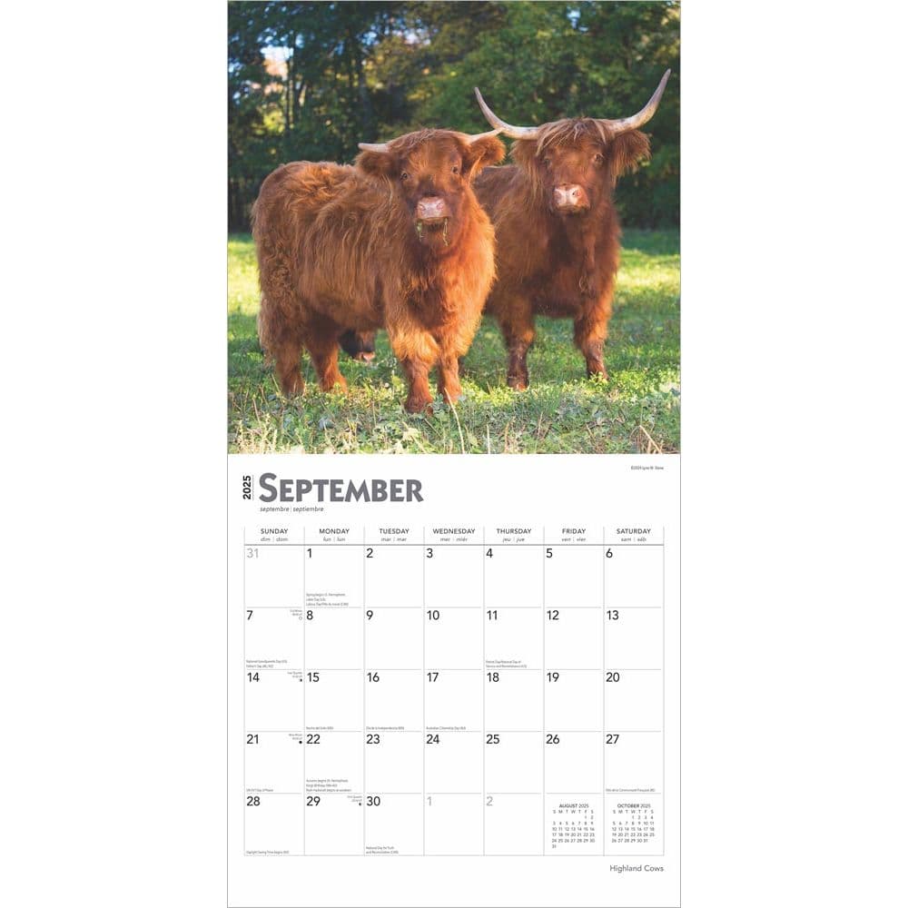 Highland Cows 2025 Wall Calendar Third Alternate Image