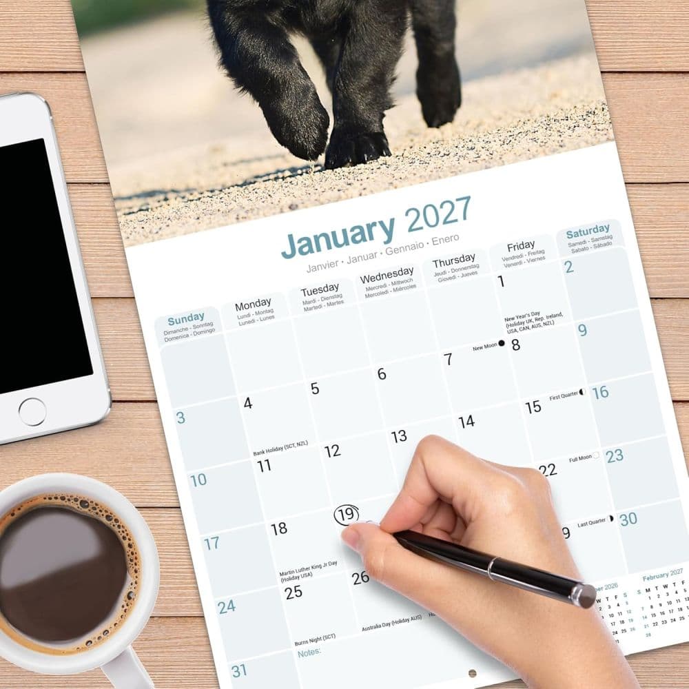 Flatcoated Retriever 2027 Wall Calendar Fourth Alternate Image