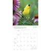 image Songbirds 2026 Wall Calendar Third Alternate Image